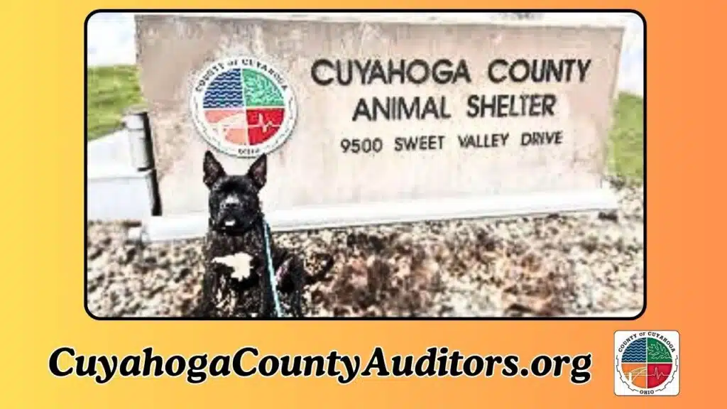 Cuyahoga County Animal Shelter
